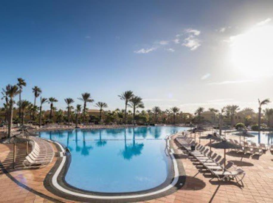 Oasis Del Viento Papagayo * Corralejo
