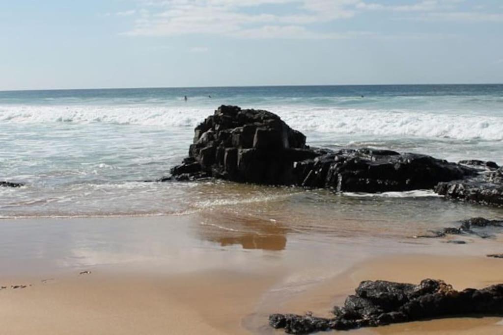 Oasis Del Viento Papagayo Corralejo