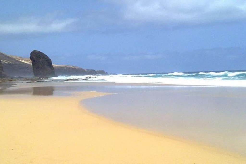 Oasis Del Viento Papagayo Corralejo