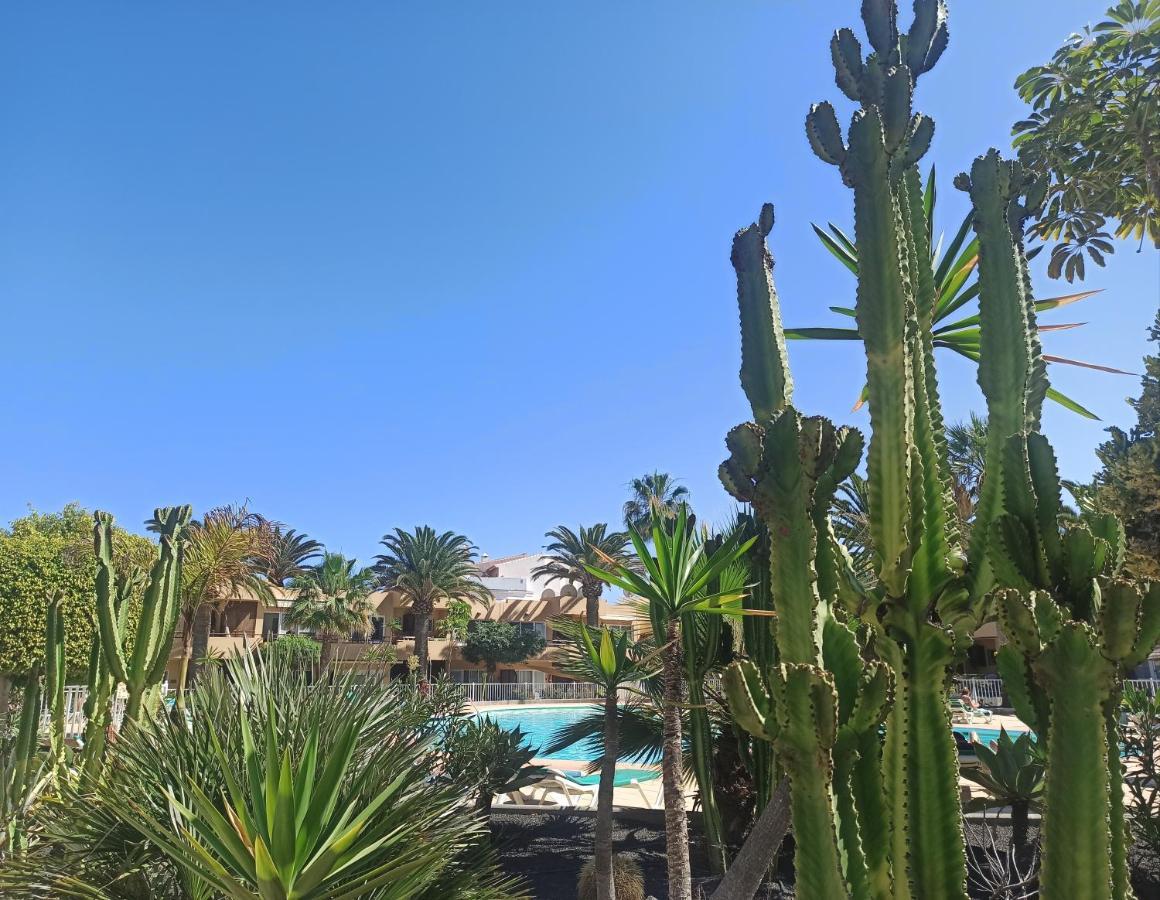 Elrincondesara * Corralejo