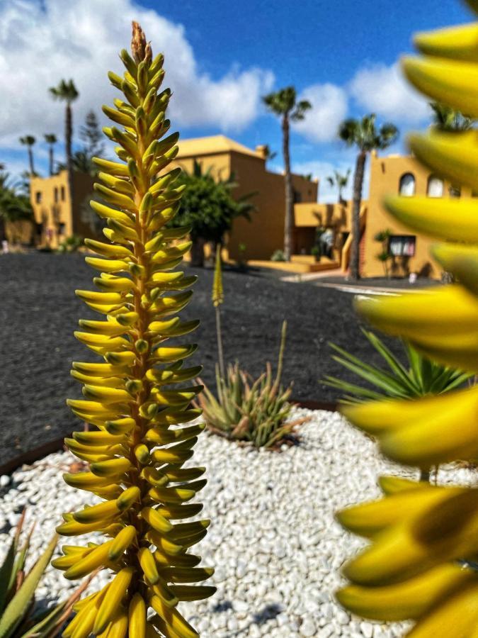 Vivienda Vacacional Casa Simbamar Apartment Corralejo