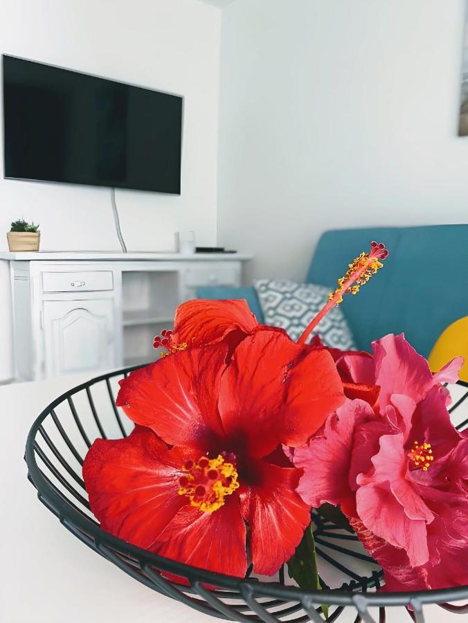 Red Hibiscus Irent Fuerteventura Appartement *