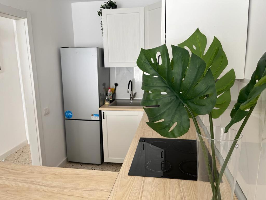 Apartamento Moonlight *