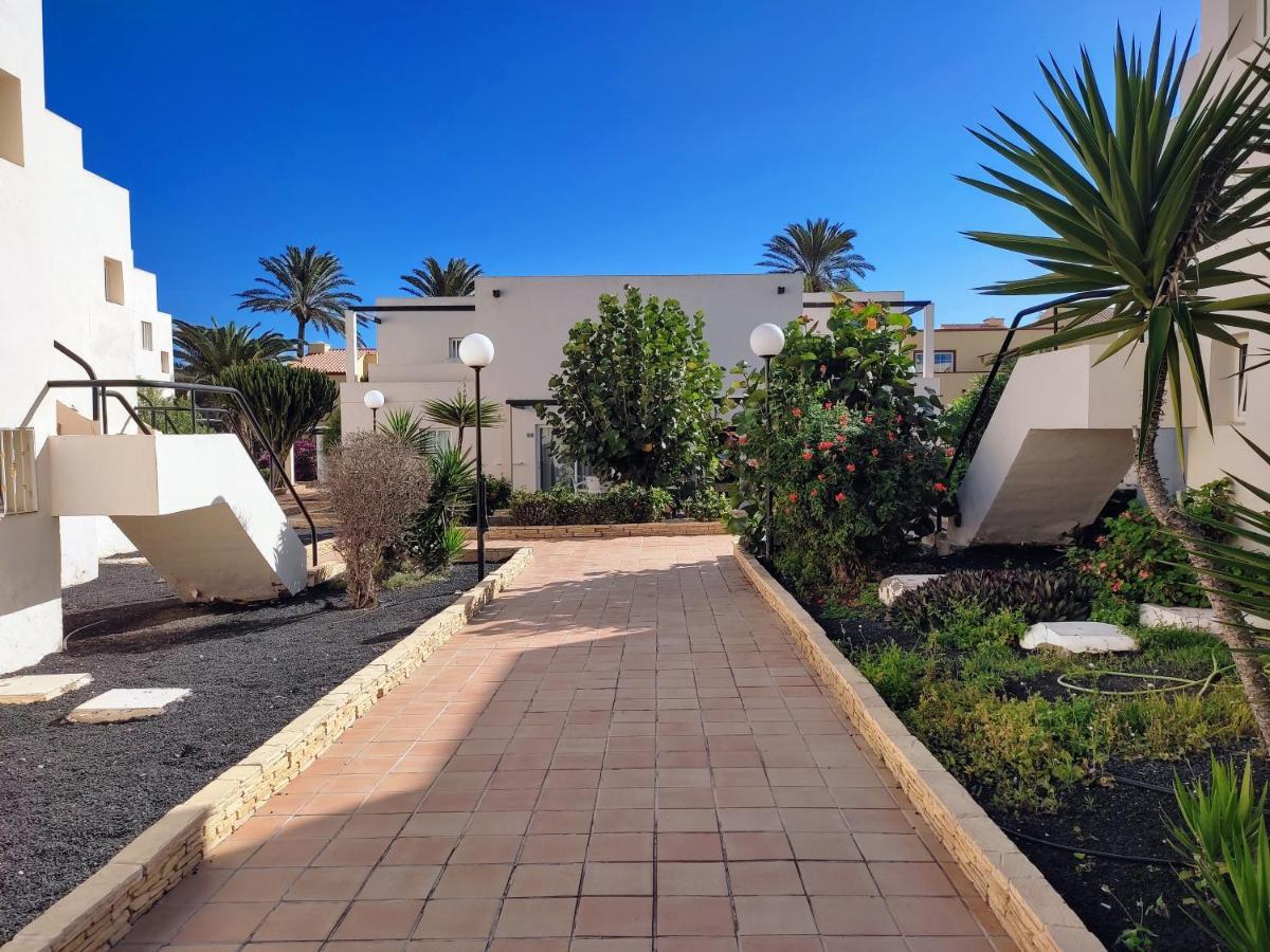 Red Hibiscus Irent Fuerteventura Appartement Corralejo