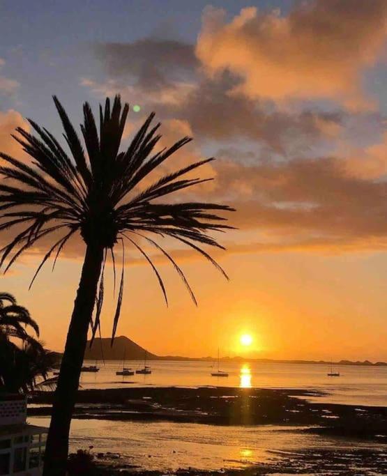 Beach&center * Corralejo