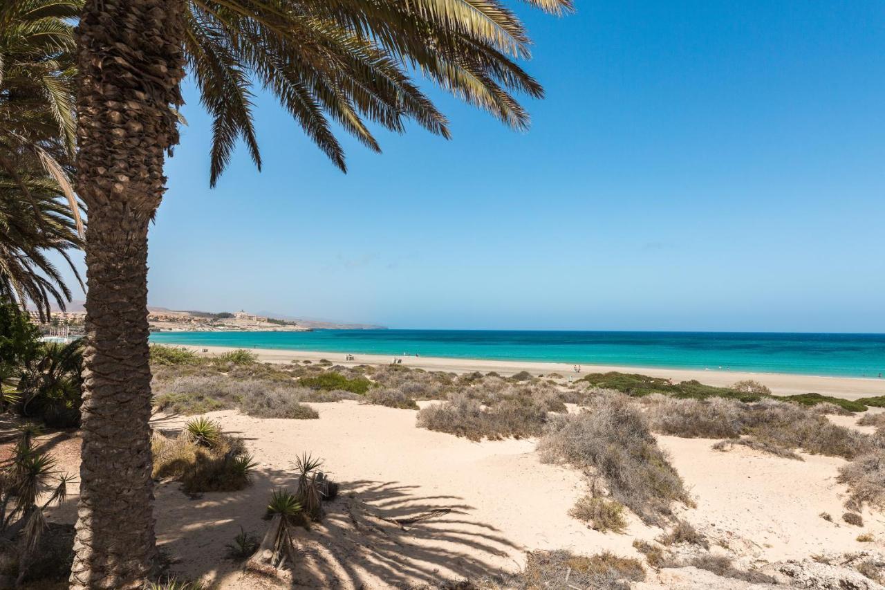 Home2book Charming Sun & Dunes Apartment