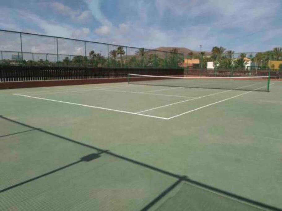 B-rent Tamarindo Amazing Sea View * Corralejo