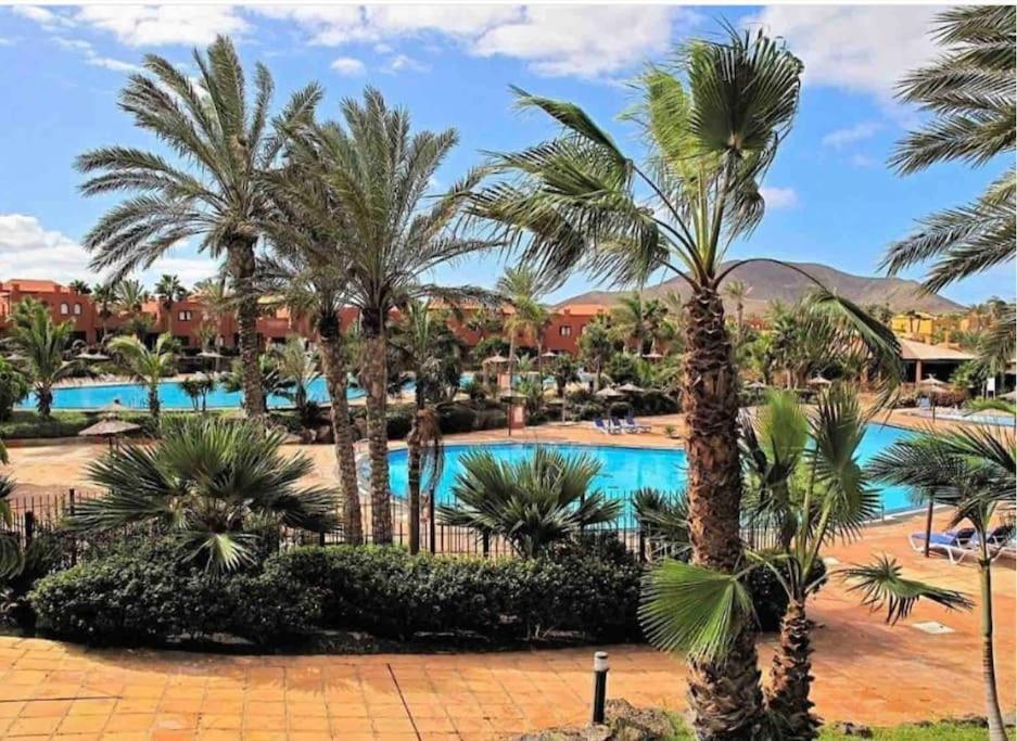 Apartment B-rent Tamarindo Amazing Sea View *