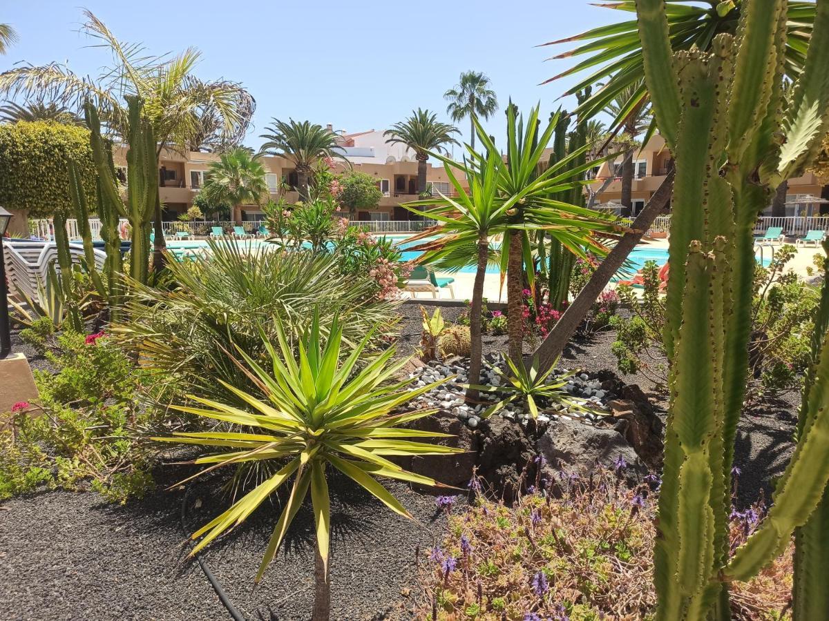 Apartment Sunnyapartment Corralejo