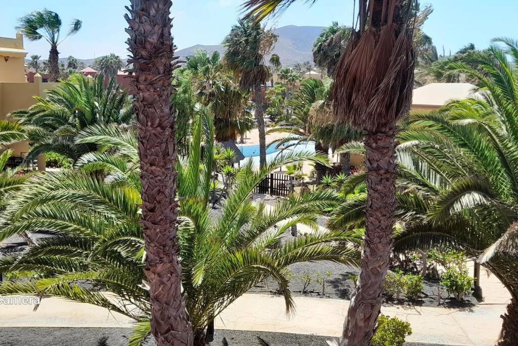 Cumbre Vieja Fuerteventura
