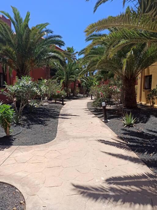 Cumbre Vieja Fuerteventura Appartement Corralejo