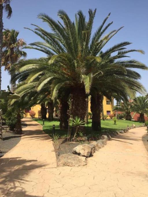Cumbre Vieja Fuerteventura Appartement Corralejo
