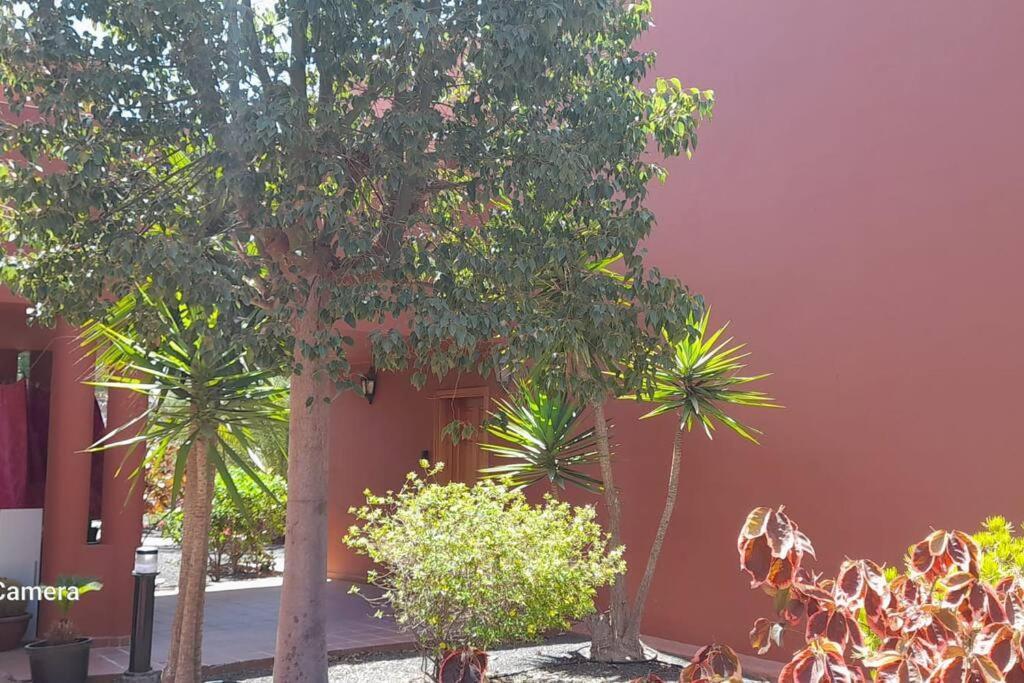 Appartement Cumbre Vieja Fuerteventura Corralejo