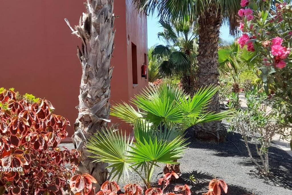 Appartement Cumbre Vieja Fuerteventura