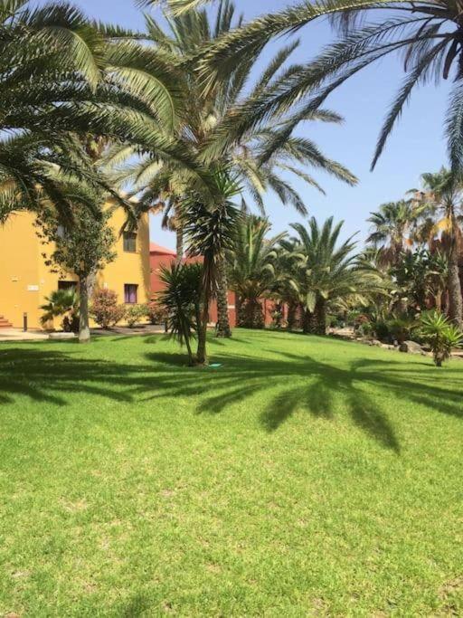 Appartement Cumbre Vieja Fuerteventura Corralejo