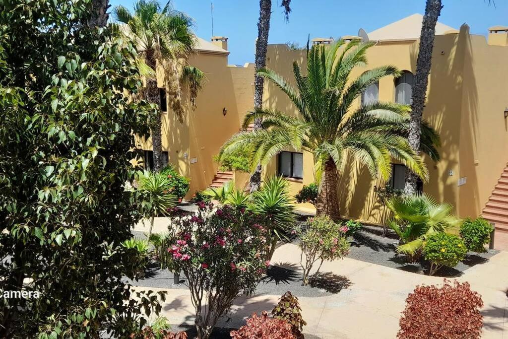 Cumbre Vieja Fuerteventura Appartement