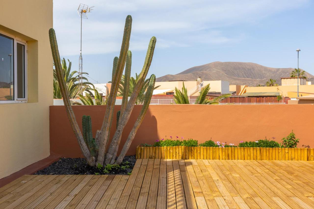 Appartement Garden House With Two Terraces