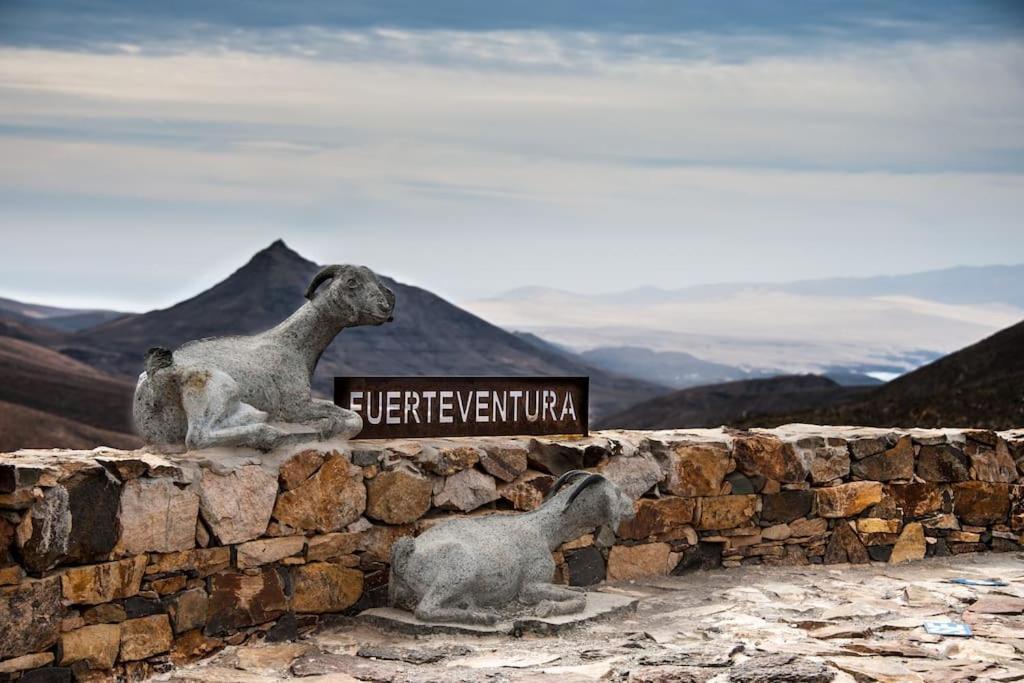Oasis, El Sultan, Corralejo, Fuerteventura *