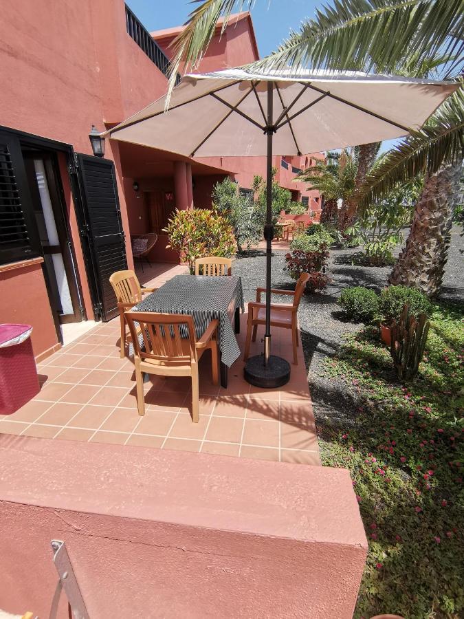 Spagnolo Oasis Tamarindo *
