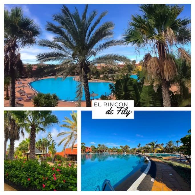 El Rincon The Fili Garden View By Rentalfue * Corralejo