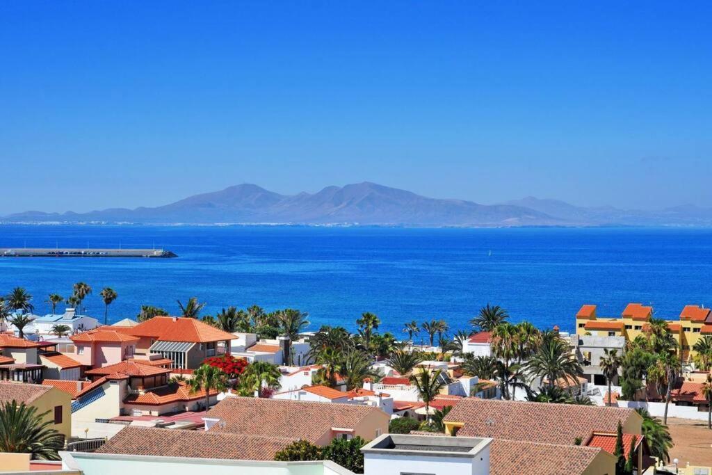Casa Ametine : Relax And Enjoy ! Apartamento