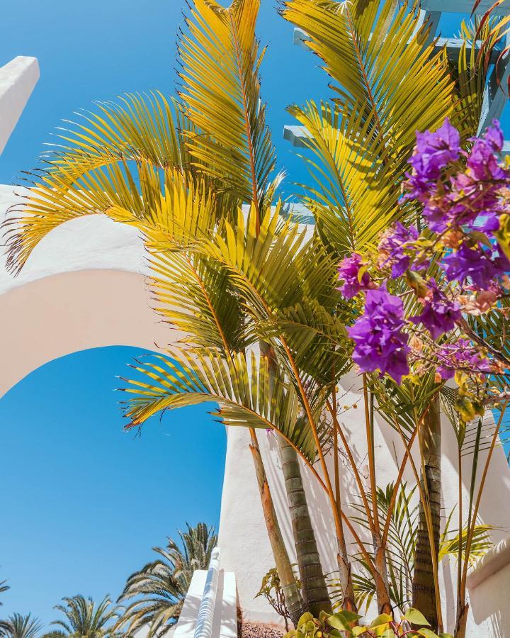 Alua Fuerteventura Hotel 4*