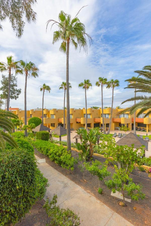 Apartment Palmira Sea View And Lobos Island Irent Fuerteventura *