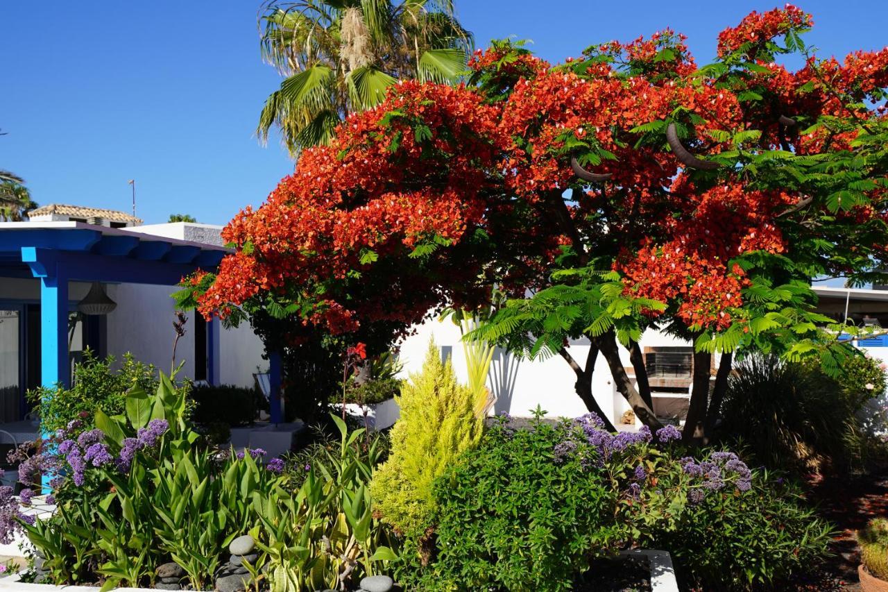 Timfay Corralejo