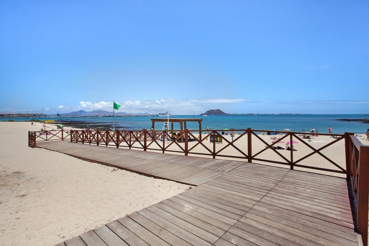 Toro * Corralejo