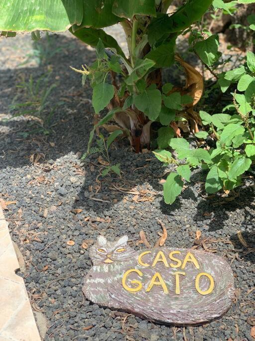 Casa Gato