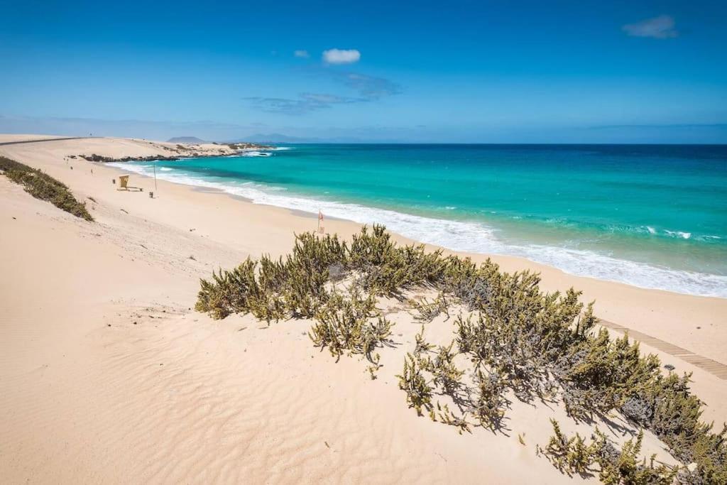 Apartamento B-rent Alisios Playa Isla Bonita