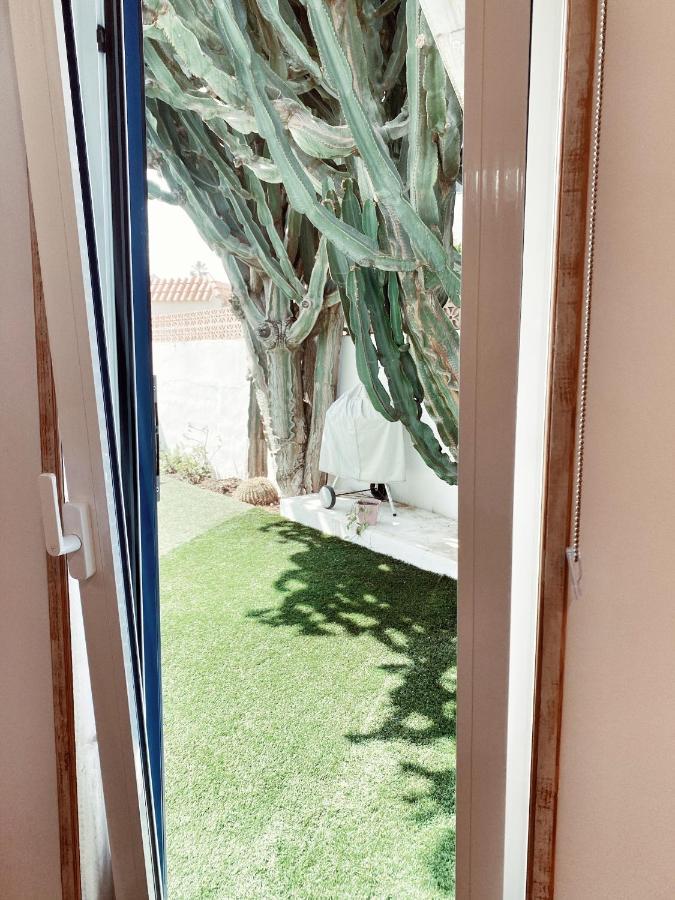 Casa Cactus Guest house *
