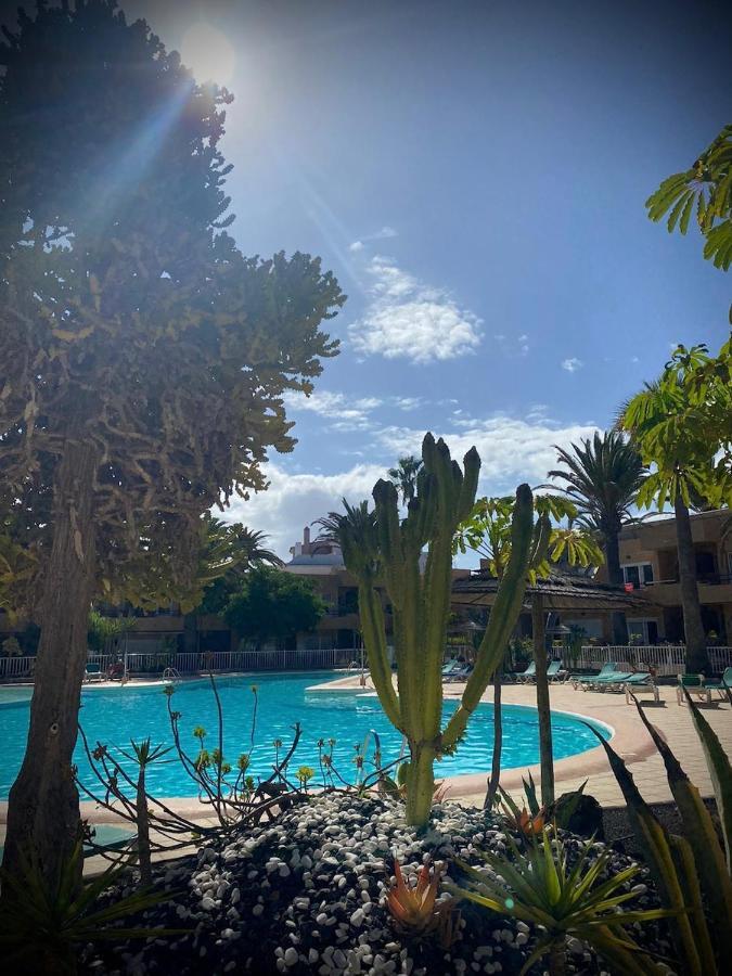 Appartement Caracol Corralejo