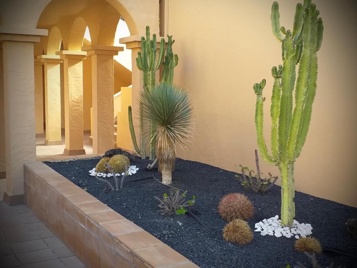 Caracol Appartement Corralejo