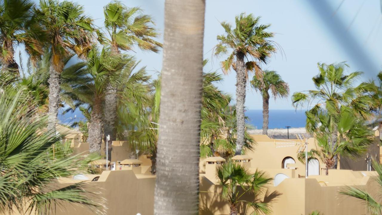 Vista Palmera