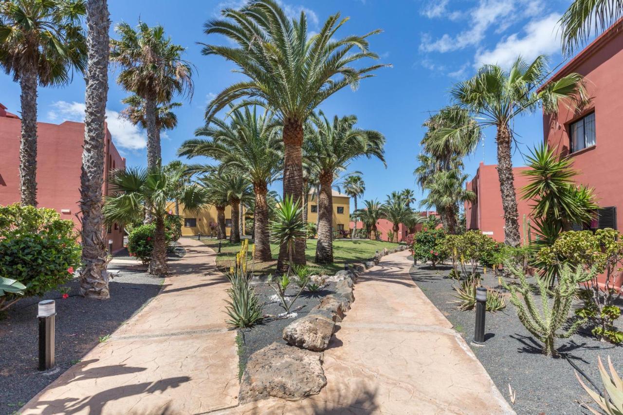 Fuerteventura Herbania