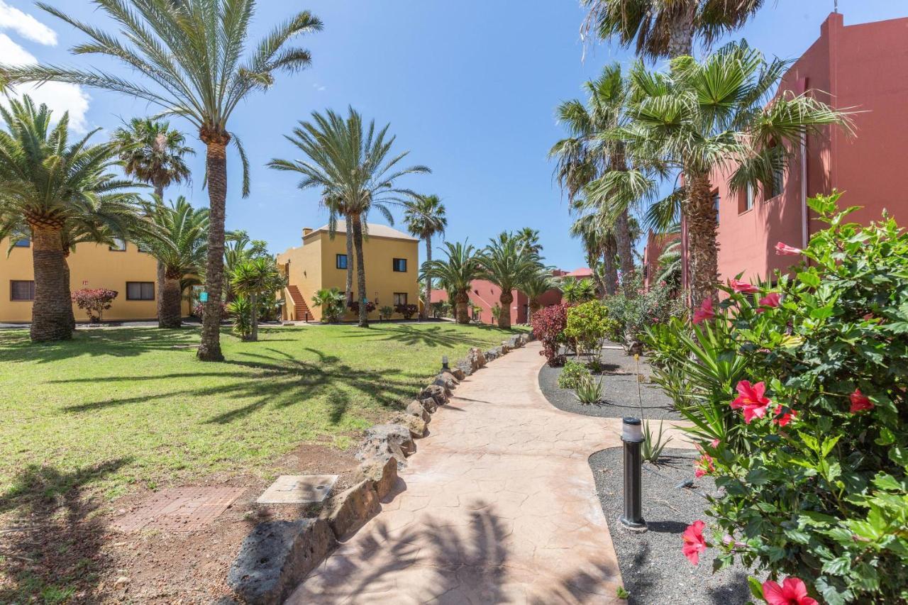 Fuerteventura Herbania