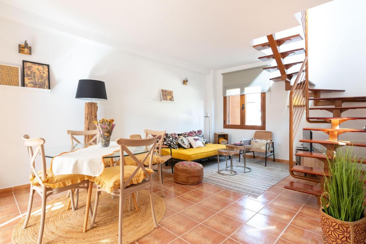 Alcaudon Holidayfv Corralejo