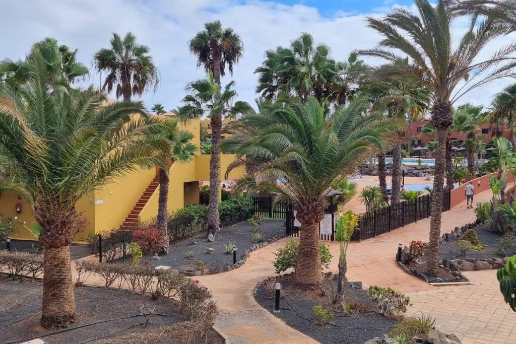 Bouganville Con Terrazza E Piscina