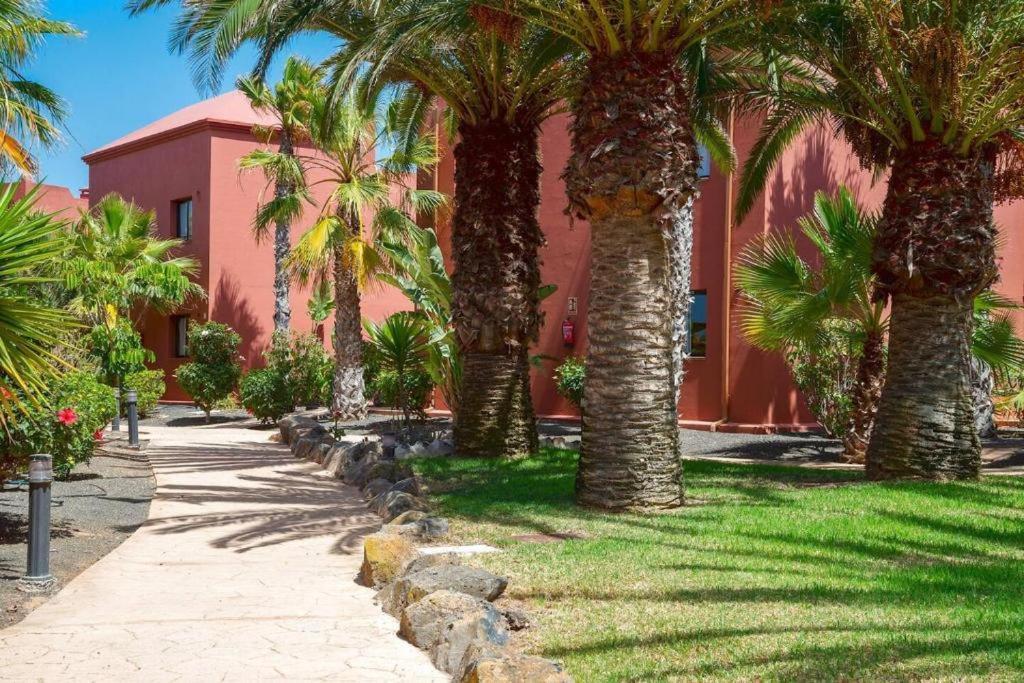 Apartment Oasis Tamarindo 1 - - Casa Rosa - 2