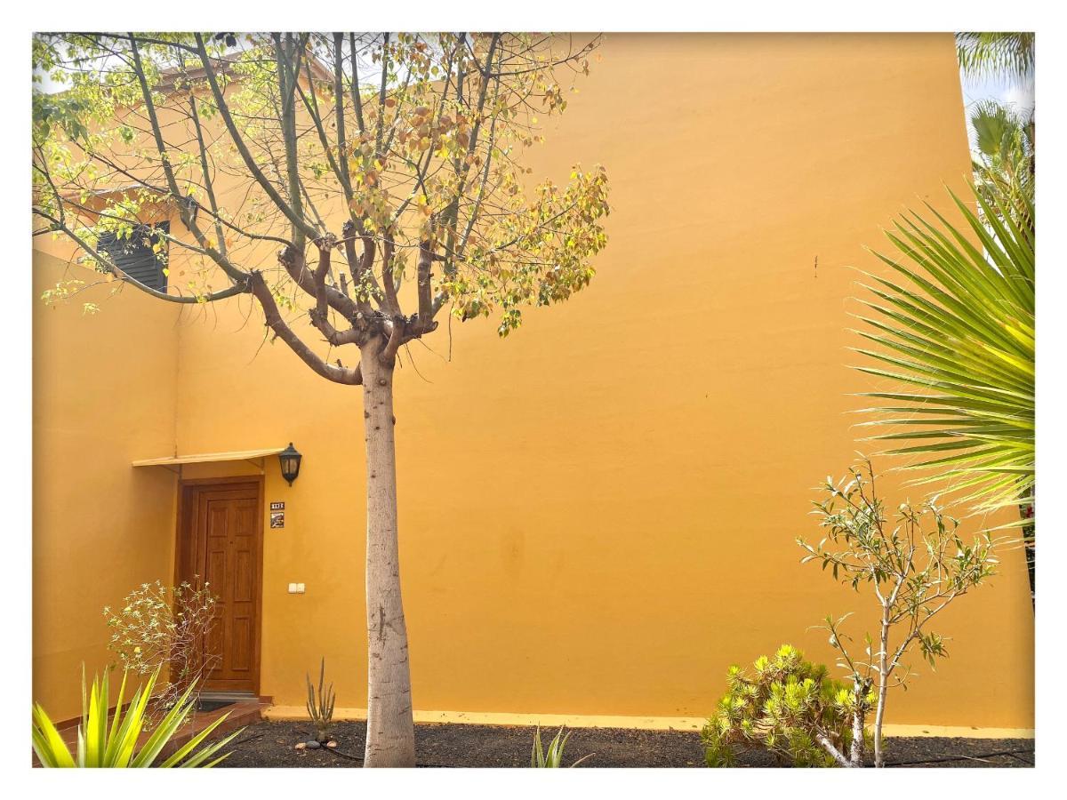 Tamarindo Pura Vida - Relax Y Vistas Al Mar Appartement Corralejo
