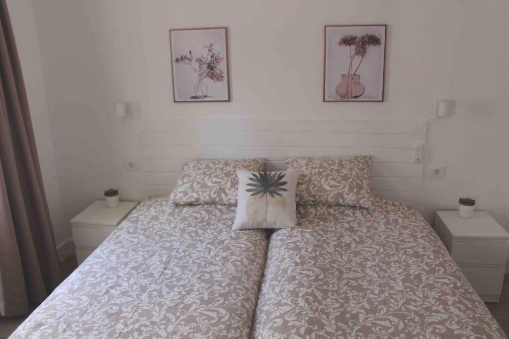 Apartment Pachi Alisios Playa *