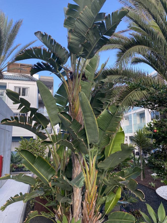 Sun And Surf Apartment Corralejo