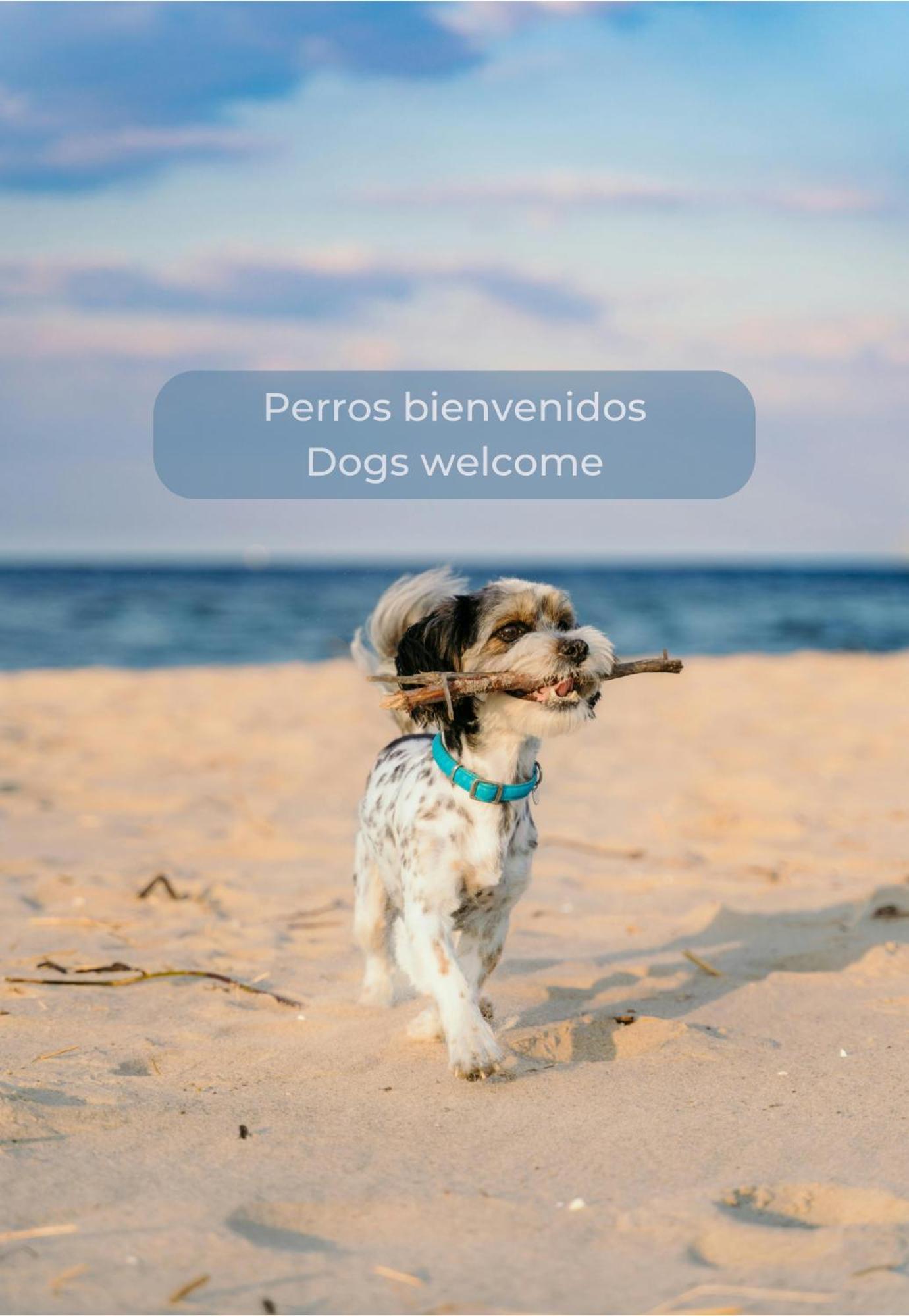 Apartment Fresh Lemonade Con Piscina, Ac, Doble Terraza, Cocina Completa Y Parking *