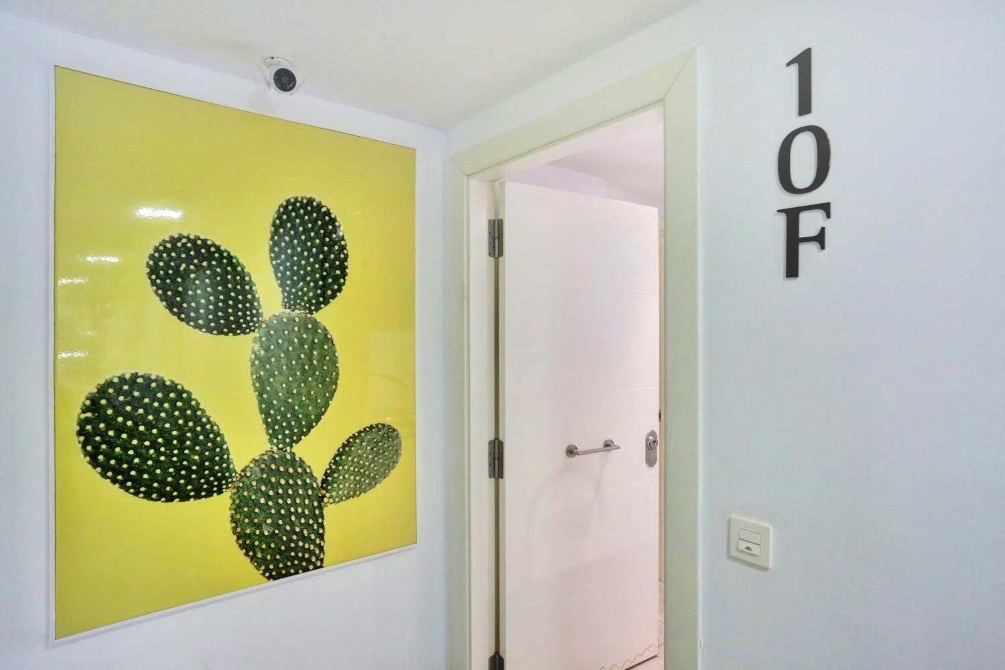 Paradise Sun Apartment