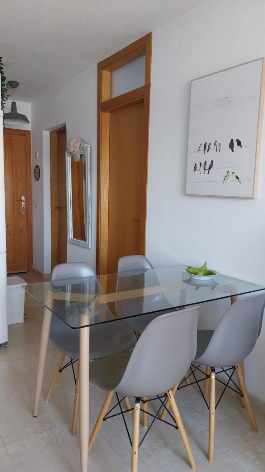 Apartment Casa Kevin *