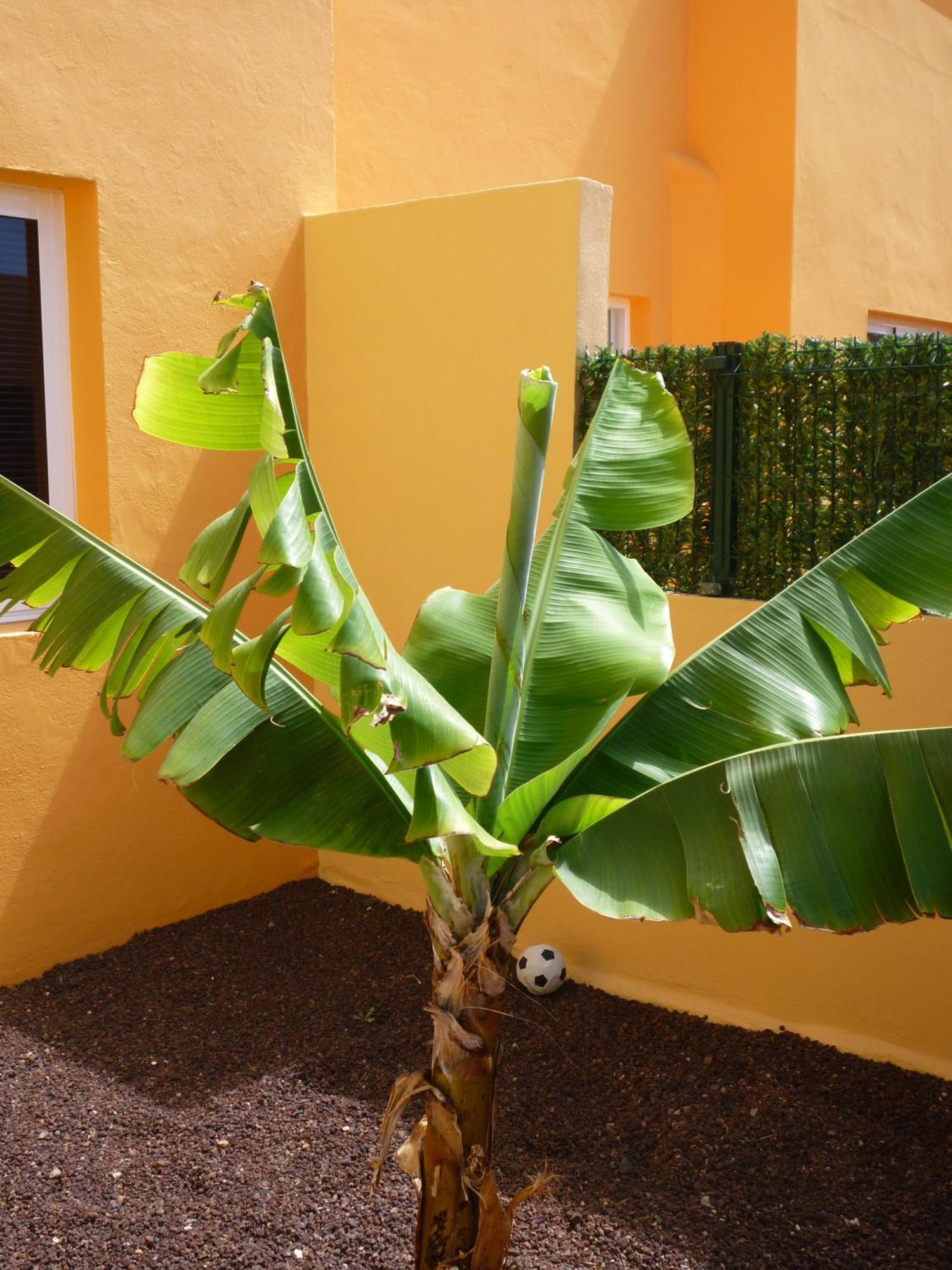 Casa Kevin Corralejo