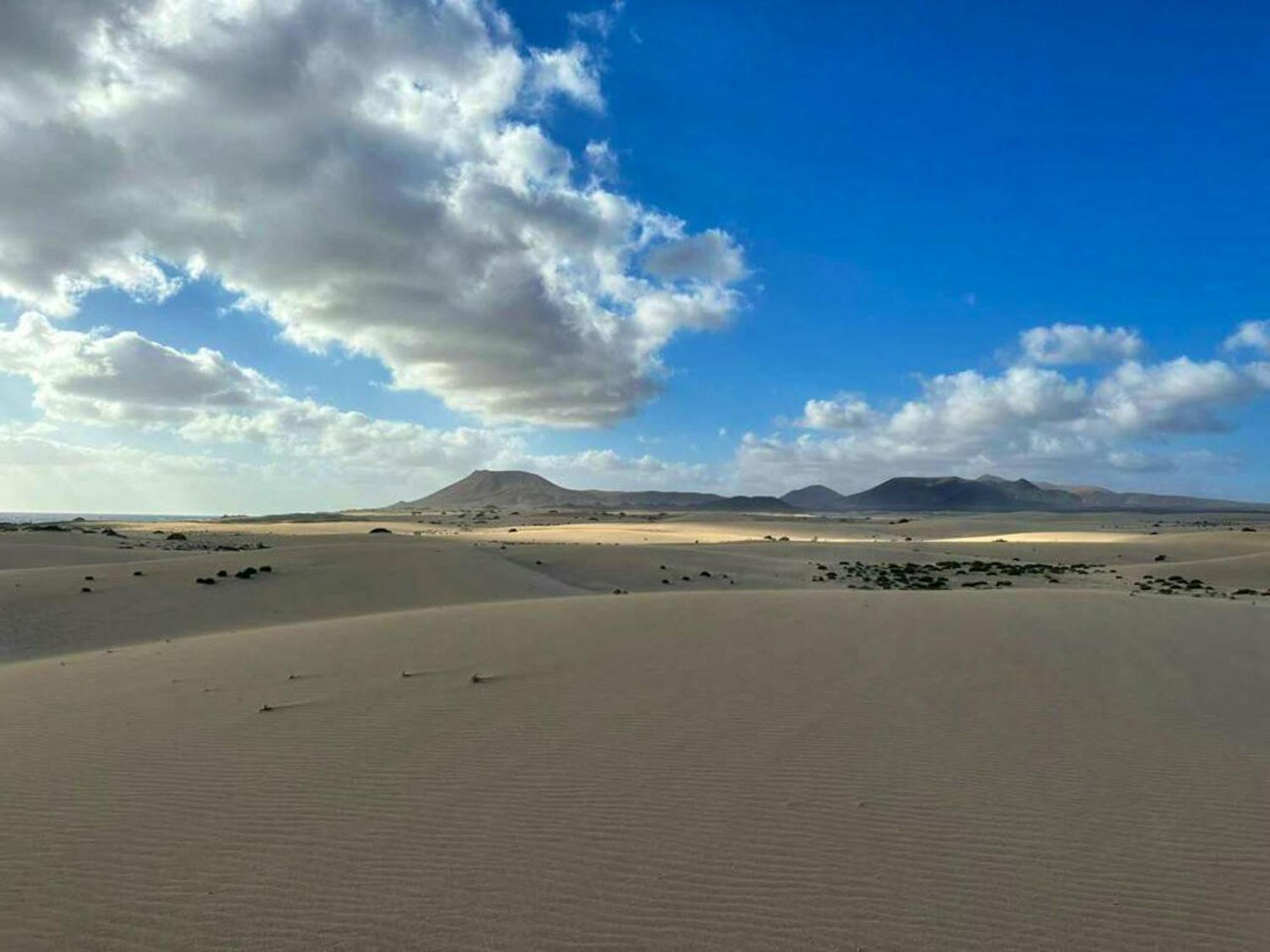 Cosy In 40 M² Close To The Corralejo
