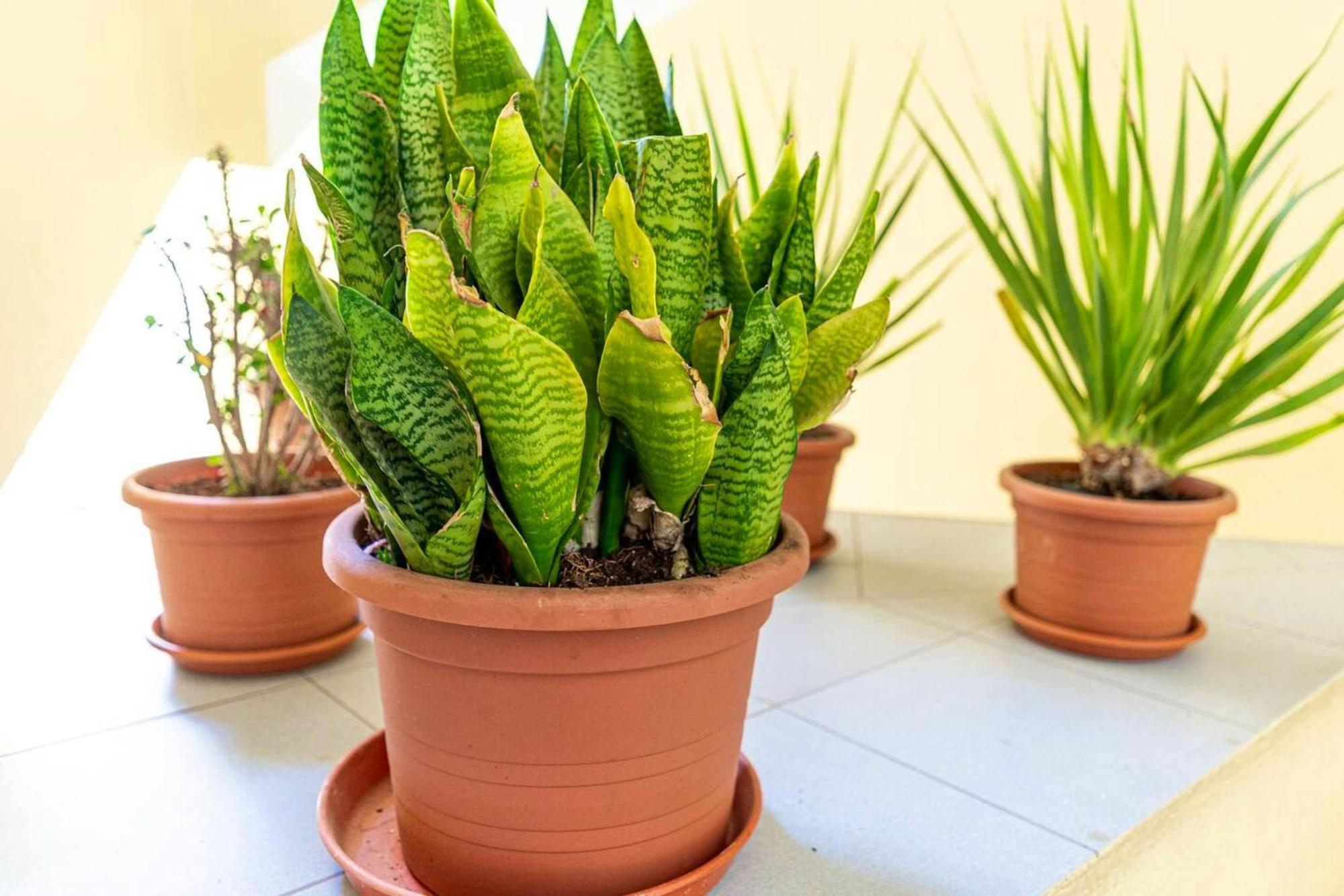 Apartment Cosy In 40 M² Close To The Corralejo