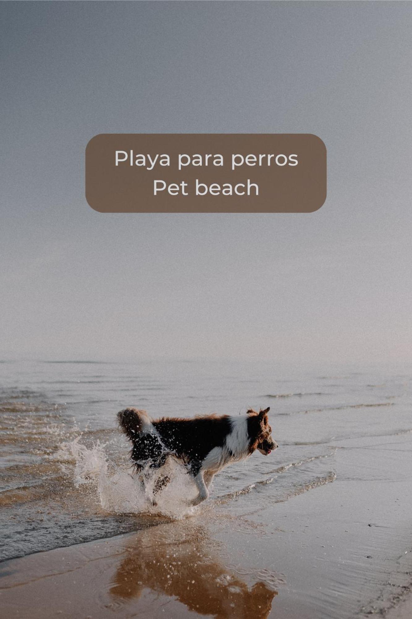 La Cotufa En El Centro De Corralejo, Dos Con Dos Banos, Terraza Privada Y Wifi Apartment *